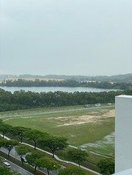 The Alps Residences (D18), Condominium #212306761